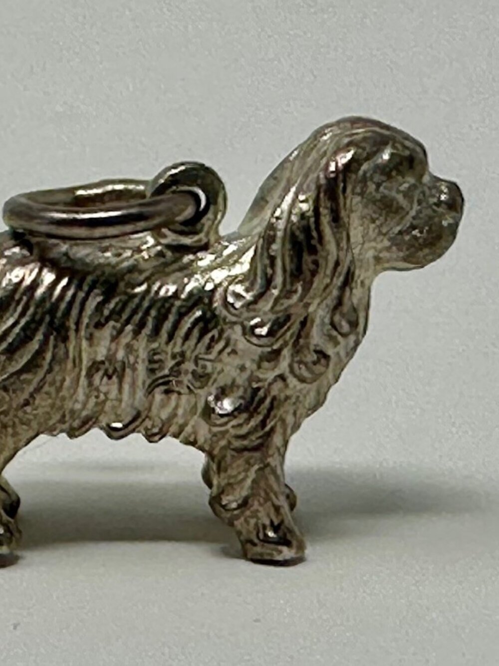Nove25 Sterling Silver Cavalier King Charles Spaniel Charm (3D)